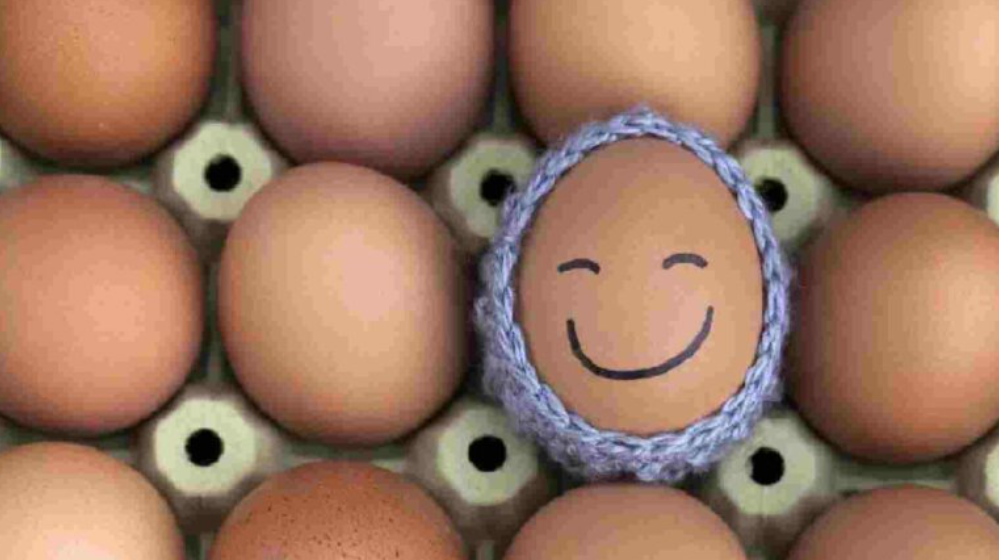 35 के बाद Egg Quality कितनी बदलती है? क्या IVF ही है एकमात्र विकल्प?